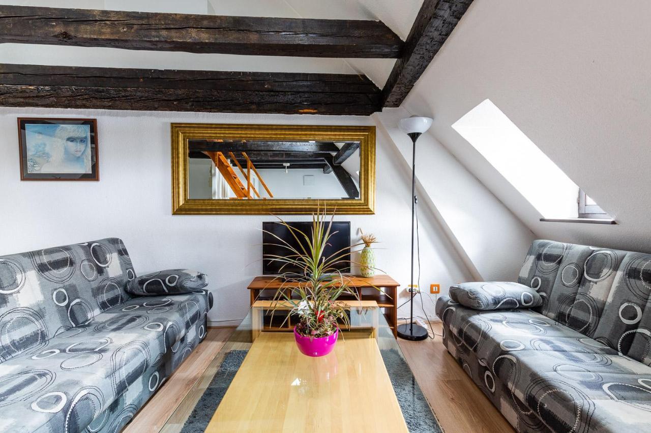 Appartements Paola, Pamela, Patricia Et Pascale Strasbourg Eksteriør billede